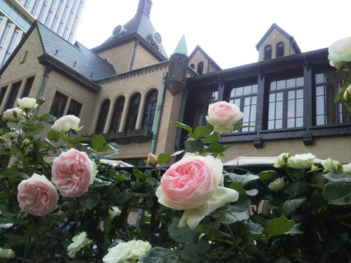 rose week 紀尾井町ガーデン